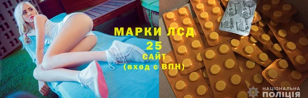 spice Осинники
