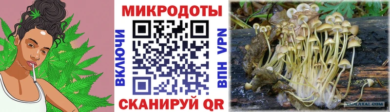 Псилоцибиновые грибы ЛСД Купить закладки Зерноград